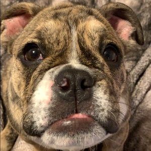 Meet your Posher, Krista